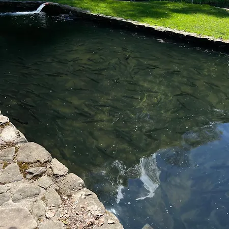 садиба-дім эдем карпат * Krasna (Transcarpathia)