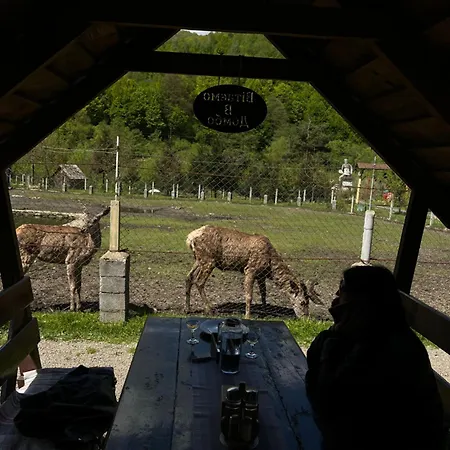 садиба-дім эдем карпат